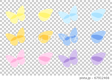 Butterfly  67912408