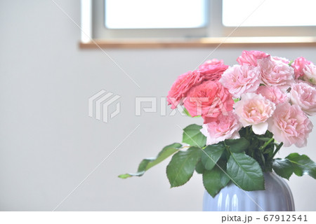 窓辺の花 バラ 窓辺の花 バラ 67912541