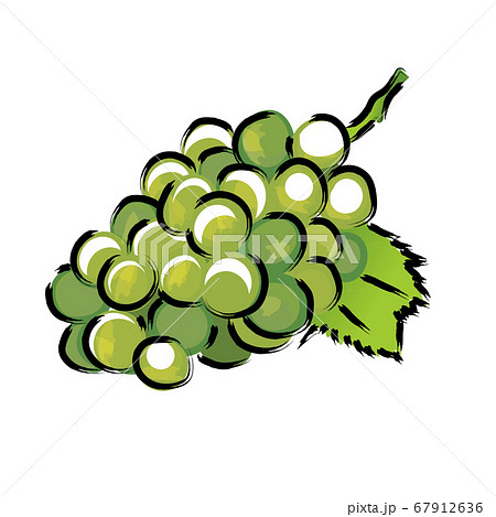 アナログタッチ筆描き水彩画 葡萄マスカットのイラスト果物のイラスト素材 アナログタッチ筆描き水彩画 葡萄マスカットのイラスト果物のイラスト素材