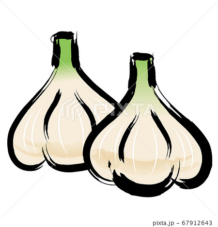 アナログタッチ筆描き水彩画 ニンニクのイラスト野菜のイラスト素材