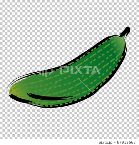 アナログタッチ筆描き水彩画 ゴーヤのイラスト野菜のイラスト素材