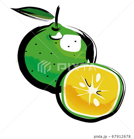 アナログタッチ筆描き水彩画 カボスのイラスト野菜果物フルーツのイラスト素材