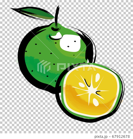 Analog touch brush-painted watercolor painting illustration of kabosu Fruits Fruits 67912678