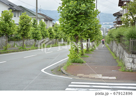 雨の住宅街 67912896