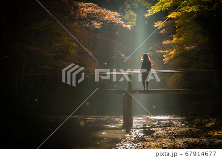光芒の射す紅葉の橋で佇む女性 光芒の射す紅葉の橋で佇む女性 67914677