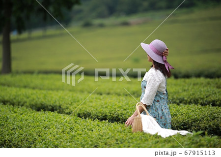 女性 女 女の子 67915113