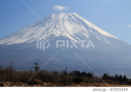 河口湖からの富士山 河口湖からの富士山 67915254