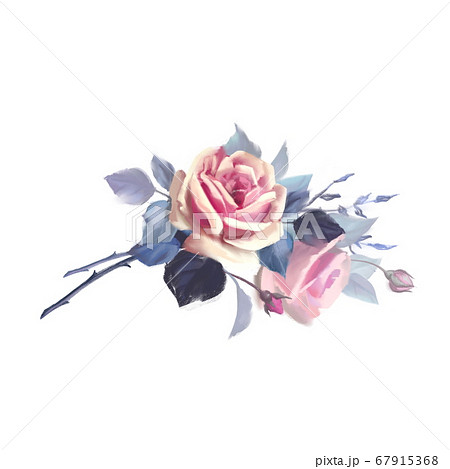 Hand drawn flowers. Pink roses 67915368