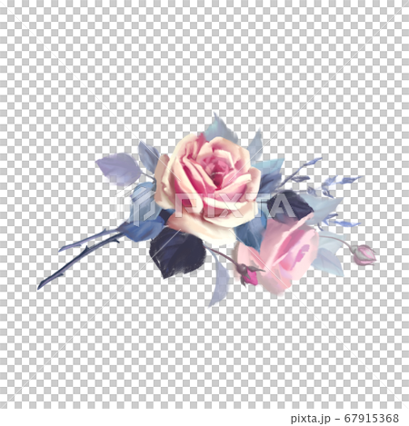 Hand drawn flowers. Pink roses Hand drawn flowers. Pink roses 67915368