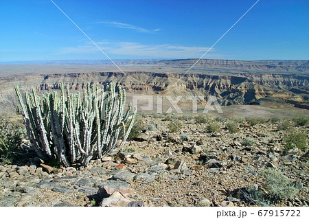 フィッシュリバーキャニオン in ナミビア 67915722