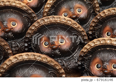 信楽たぬき 信楽たぬき 67916146