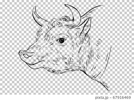 横を向いた和牛のモノクロ毛筆画のイラスト素材