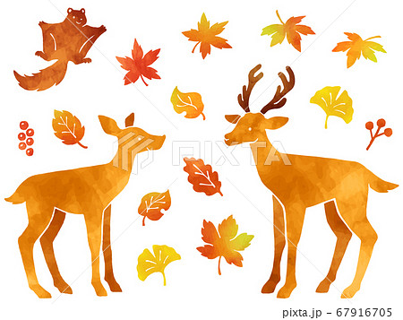 鹿 モモンガ 秋の紅葉の水彩風イラストセットのイラスト素材