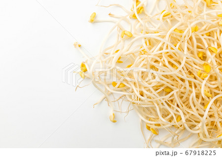 豆 もやし 食べ物 67918225