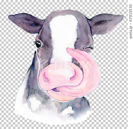 水彩イラスト 牛 年賀状のイラスト素材 [67918530] - PIXTA