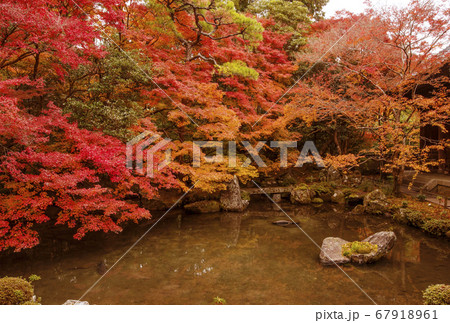 蓮華寺 京都の紅葉の名所 秋の京都観光スポットの写真素材