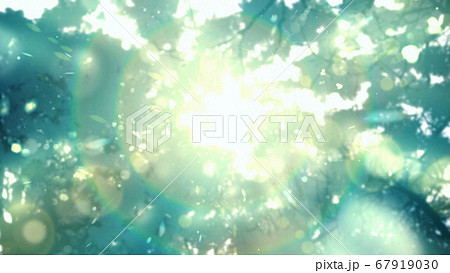 優しい木漏れ日のイラスト　日差し　リラックス　森林浴　光の背景装飾 67919030