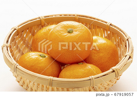 温州みかん 67919057