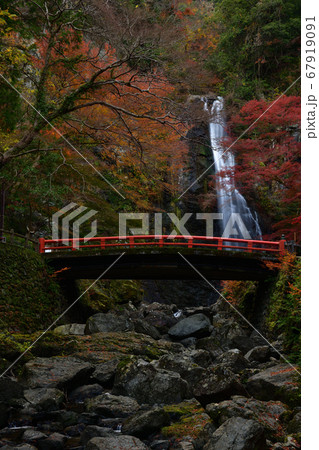 箕面の滝の紅葉 箕面の滝の紅葉 67919091