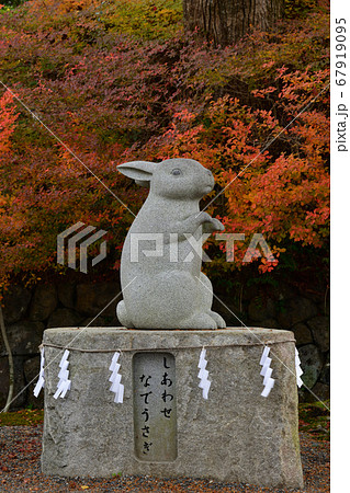 出雲大神宮より 出雲大神宮より 67919095