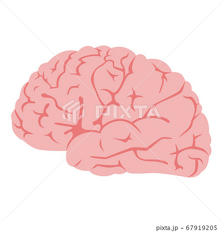 健康的なピンク色の脳のイラスト のイラスト素材