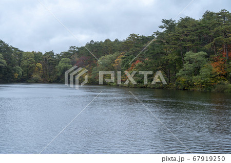 裏磐梯の秋 五色沼探勝路 裏磐梯の秋 五色沼探勝路 67919250
