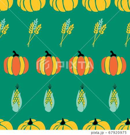 Maize plant, crop and pumpkins on green background seamless repeating vector pattern. Fall 67920975