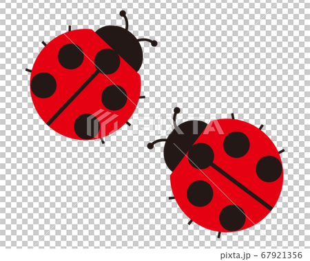 lady bug Vector PNG Image