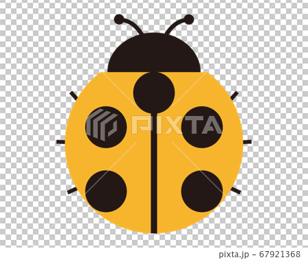 カラフルなてんとう虫のベクターイラスト 67921368