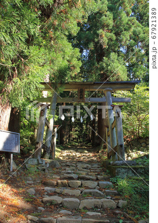 小菅の里 小菅神社奥社参道と鳥居 小菅の里 小菅神社奥社参道と鳥居 67921389