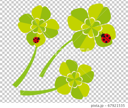 四つ葉のクローバーにとまったてんとう虫のベクターイラスト 67921535