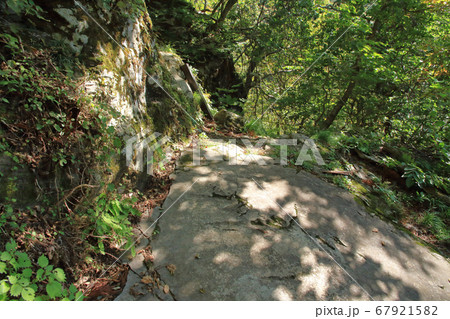 小菅の里　小菅神社奥社参道の鏡石 67921582