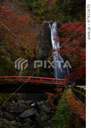 箕面の滝の紅葉 箕面の滝の紅葉 67921670