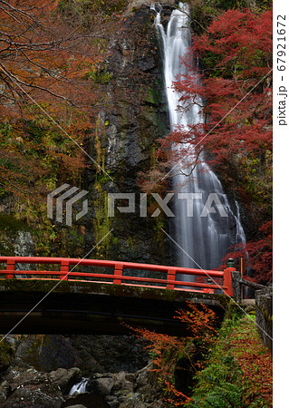 箕面の滝の紅葉 箕面の滝の紅葉 67921672