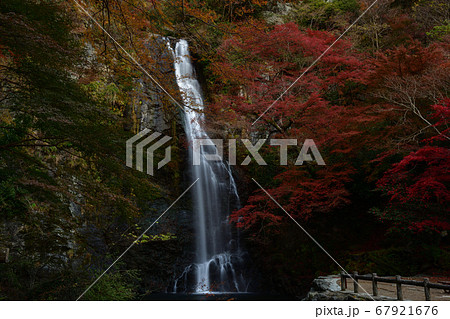 箕面の滝の紅葉 箕面の滝の紅葉 67921676
