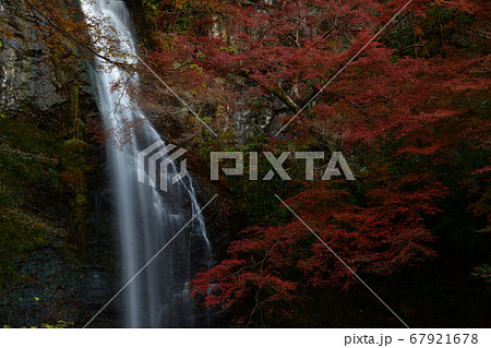 箕面の滝の紅葉 67921678