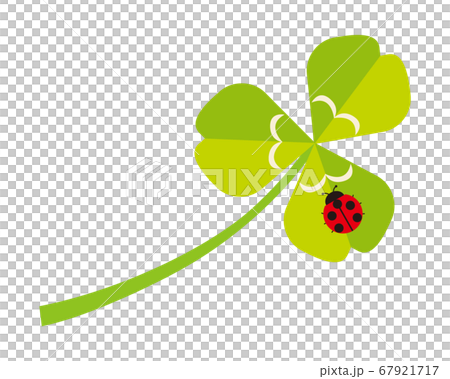 三つ葉のクローバーにとまったてんとう虫のベクターイラスト 67921717