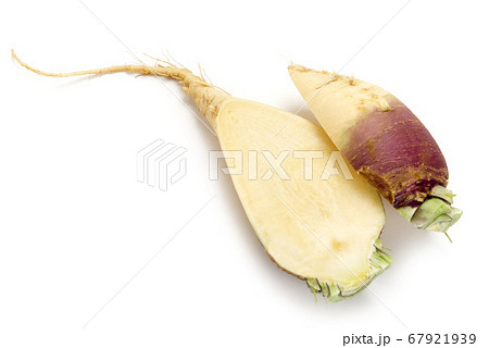 ルタバガ ルタバガ 67921939