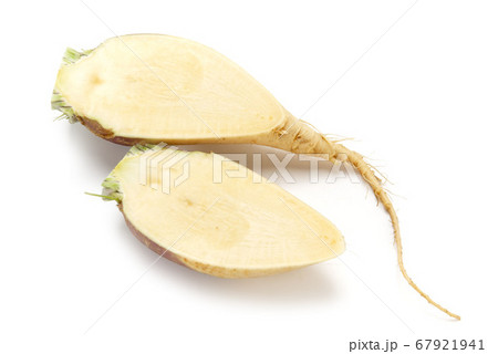 ルタバガ 67921941