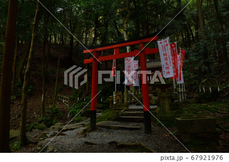 出雲大神宮より 出雲大神宮より 67921976