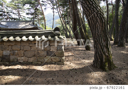 石垣 韓屋 松 67922161