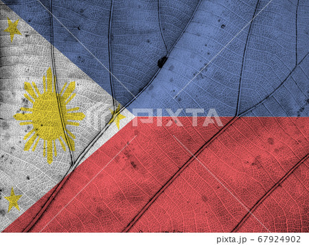 Philippines flag leaf texture 67924902
