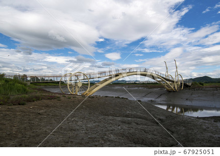 生態公園 始興市 干潟 67925051