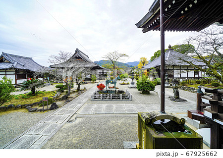本堂から望む橘寺境内(明日香村) 本堂から望む橘寺境内(明日香村) 67925662