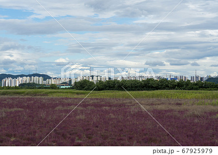 風景 生態公園 始興市 67925979