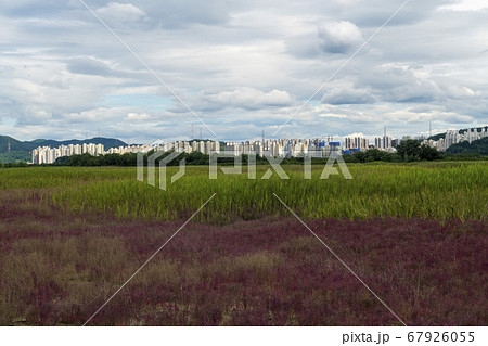 風景 生態公園 始興市 67926055