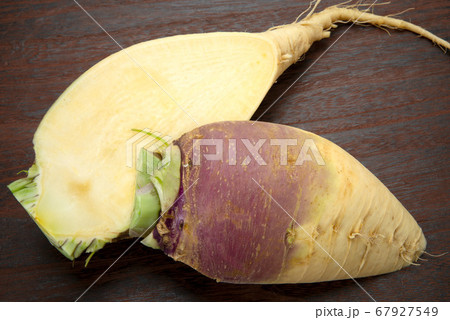 ルタバガ ルタバガ 67927549