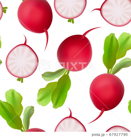 Realistic 3d Detailed Whole Radishes Seamless Pattern Background. Vector 67927790