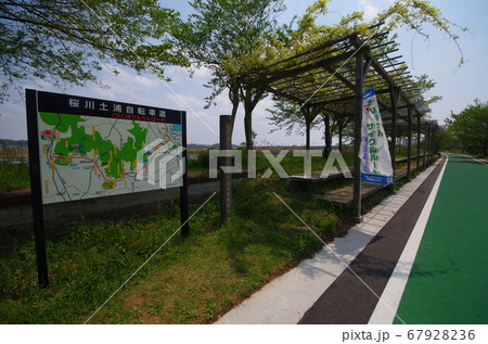 つくばりんりんロードと虫掛駅跡 67928236