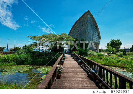 名古屋港ワイルドフラワーガーデン ブルーボネットのサニーハウス 67929954